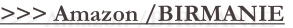 shapeimage_3_link_12